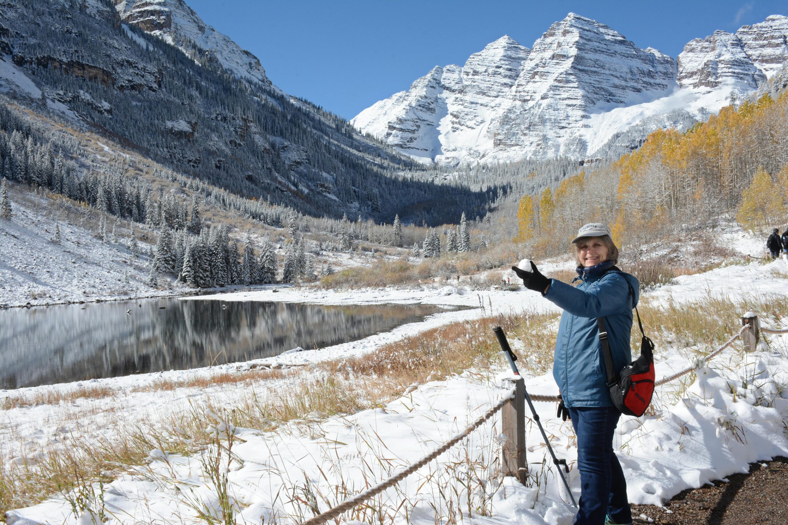 Free stock photo of alpine forest, aspen, aspen trees